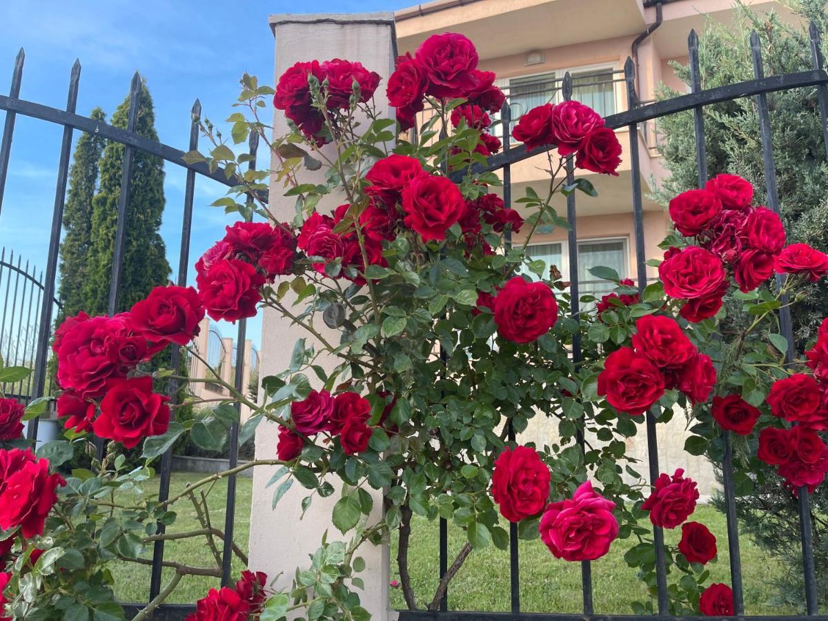 Villa Mia Sozopol Esterno foto